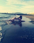 Анкета проститутки Мишель - метро Саларьево, возраст - 21